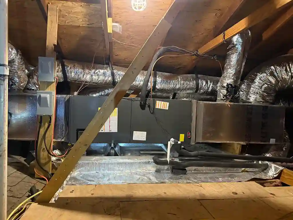 mold disinfection treatment san antonio tx paradise air hvac