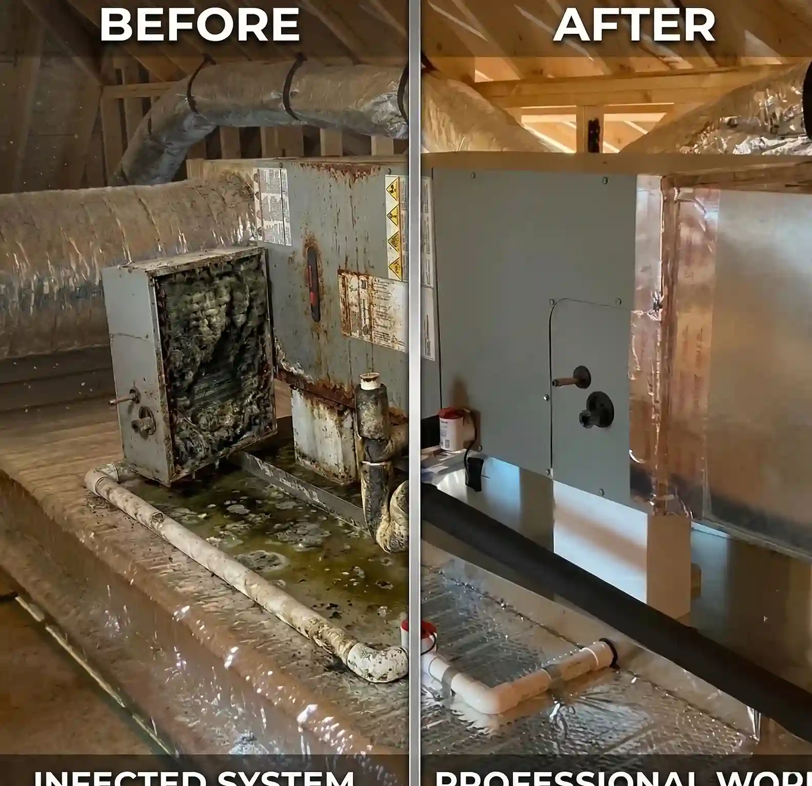Mold Disinfection Treatment